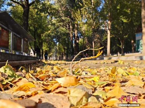 �S��54·��܉�܇�ؾ��h(hu��n)��������������߅�L(f��ng)ò�����������S���~䁝M·�档���� ���z