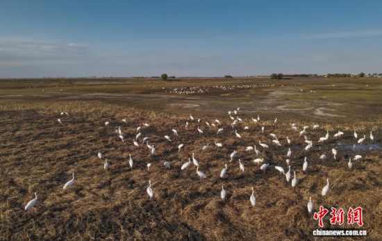 10��16�����ڼ���ĪĪ����Ҽ�(j��)��Ȼ���o(h��)�^(q��)��(n��i)���Q����Ϣ��(�o�˙C(j��)��Ƭ)�w��� �z