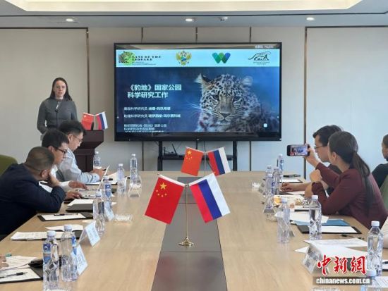 ���_˹���ҷ������o�|������(j��ng)��������� �z