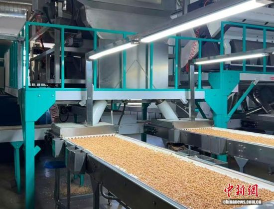 �������a(ch��n)����(�L�����P(gu��n)���D)