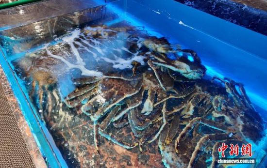 ���B(y��ng)����ĵ���з����߅��ί������ ���D